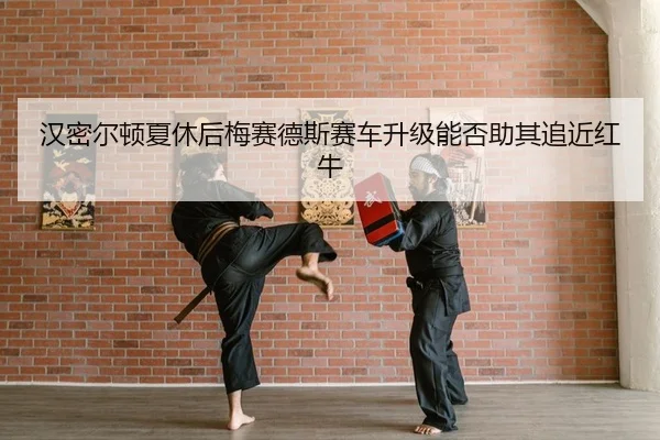 汉密尔顿夏休后梅赛德斯赛车升级能否助其追近红牛